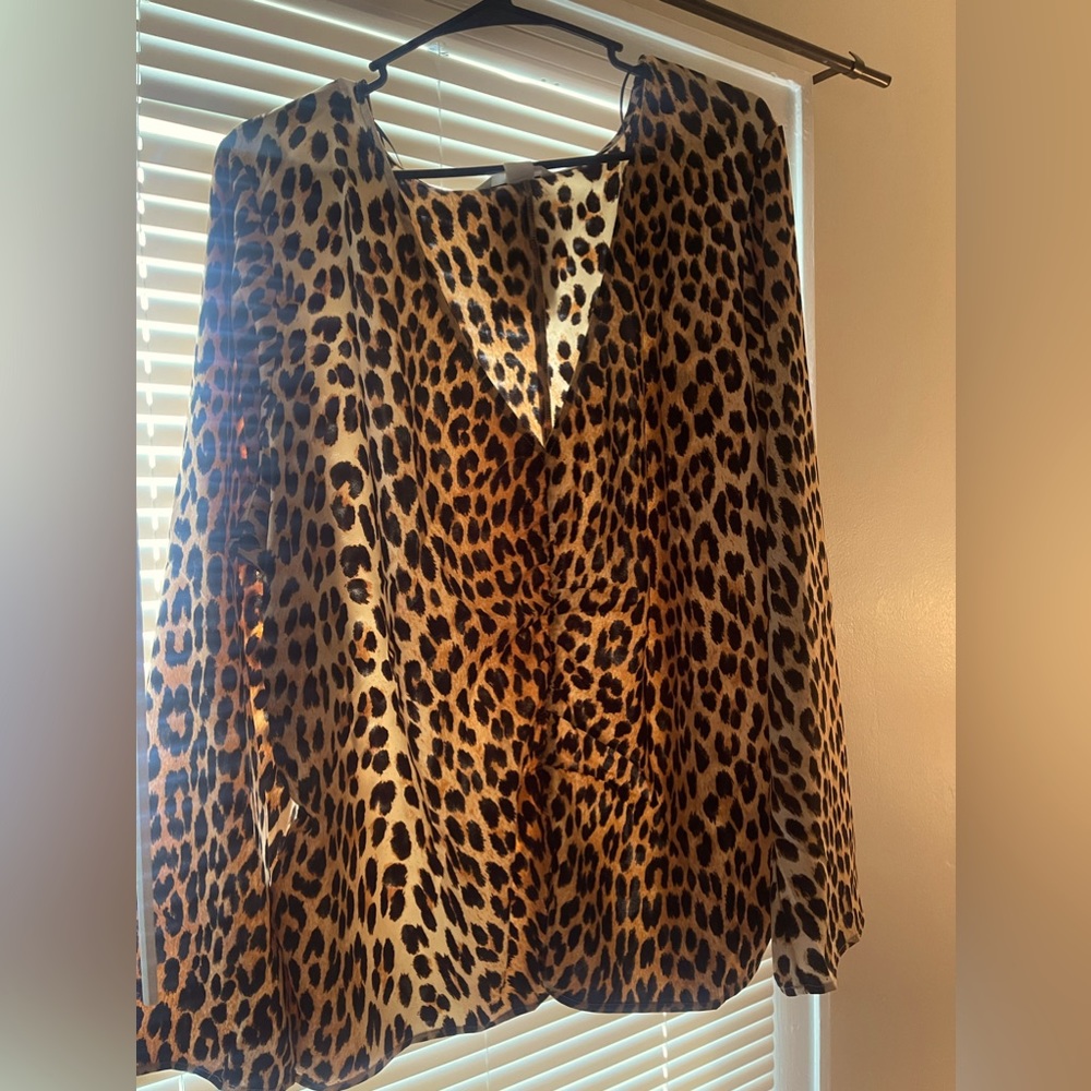 H&M Leopard V-Neck Long Sleeve Blouse